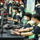 주식회사 진설초해 이미지