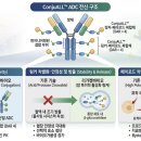 삼성바이오약품 | AACR 2026 프리뷰: 샌디에이고에서 봐야 할 K-바이오 5선