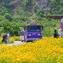 무릉농장 이미지