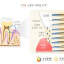 다담치과