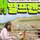 제주새별 이미지