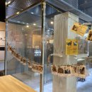 히히냥냥 이미지