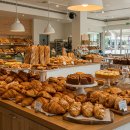 원통 중앙공원 | [빵집 핫플] 경기도 과천시 빵지순례 핫플 투어 추천 가이드(2025년)