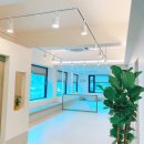 해밀동물병원 이미지