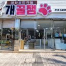 개꿀잼 애견카페 | 깨끗하고 관리 잘 되는 야외 마당이 있는 애견카페 &amp; 애견호텔 남구 신정동 &#39;개꿀잼&#39;