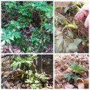 농장 천지인 이미지