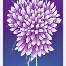 글로벌시장 이미지