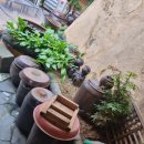 마당너른집 이미지