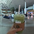 대장게임장 | [8월]밀린 일기 몰아쓰기 : 8월의 일상(feat.한국)