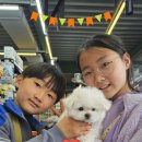 야옹아 멍멍해봐 계림점 이미지