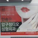 압구정디오성형외과의원 이미지