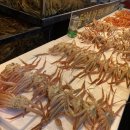 죽도 대게타운 이미지