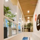 이리온 동물메디컬센터 이미지