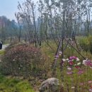 영흥어린이공원 이미지