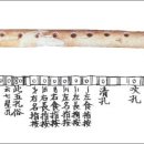 부산 동삼동 패총 티스토리