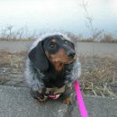 룰루랄라 이미지