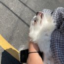 독산온동물병원 이미지