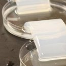 구부림농장 | 텔로머라아제(telomerase)는 노화 과정을 역전시킴,생명공학 섹터를 만들기 등..