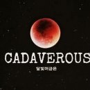 CADAVEROUS 1 (브금유/ 밤에 읽으세요~) 이미지