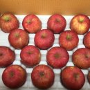 월곡농장 이미지