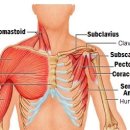 G.C.M 스포츠 이미지
