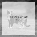 수채화(기초) 이미지