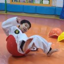 경희대성웅태권도 이미지