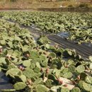 우곡농장 이미지