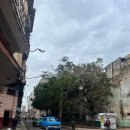 쿠바샌(Cuba San) | [쿠바] 아바나 입국, 아바나 여행 후기 - 캣 콜링, 인종차별, 쿠바 샌드위치, 쿠바 랍스터 요리...