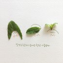 감성그림&손글씨 이미지