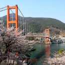 사천 케이블카 자연휴양림 이미지