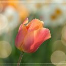 밸런스성형외과의원 이미지