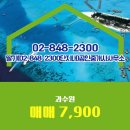 동해바다공인중개사무소 | 딸기(02-848-2300단지내)공인중개사사무소에서 지품면 과수원 7,900 4571.0㎡ 소개합니다.