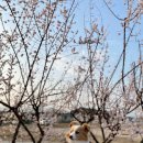 재매정길 이미지