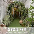 스튜디오초록 | 메이스튜디오 초록초록 배경 촬영 후기