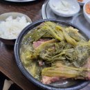 동대문역(1) | 서울 동대문역 맛집 대화정 진짜해장국 내돈내산 후기