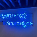 하루초밥 - 성남시 분당구 판교로 442 | 하루초밥
