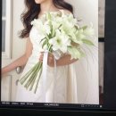 파이란 | W7. 잠실 송파 꽃집 파이란(fairan) 촬영 부케 감격의 후기