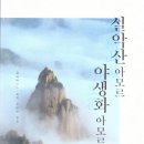 아모르 파이낸셜뉴스