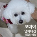 대리로 | 나를 대신해서 책을 읽어주는 강아지,대리독서견후기