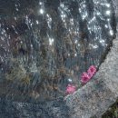 좋은아침민박 이미지