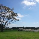 표선면-11 이미지