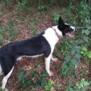 시헌농장 이미지