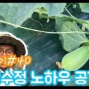비니하우스