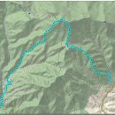 가야산약국 이미지