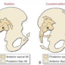 바를정핏PT 이미지