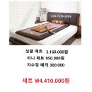 리치웨이 바이오매트 싱글 매트 ￦3,160,000원 이미지