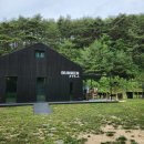 벙커475-1
