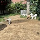 오킨더 이미지