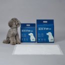 졸리펫 | [DOG] 졸리젤리 오드 패드 (표준형/대형)